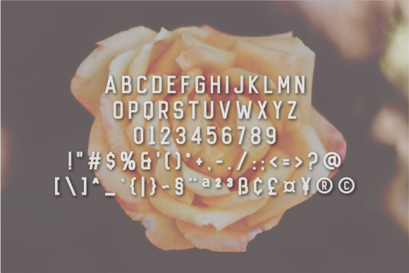 Botonique Font - Preview 1