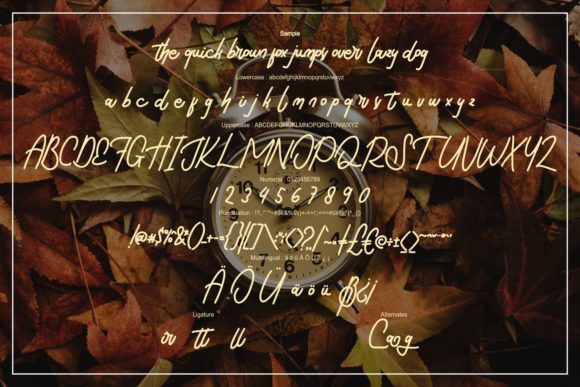 Critta Font - Preview 5