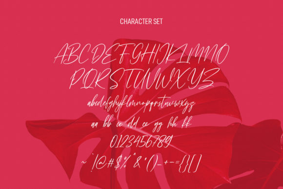 Florentroses Signature Font - Preview 4