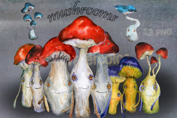 Fly Agarics Drawings of Mushrooms Graphic Illustrations By LivingСreatures