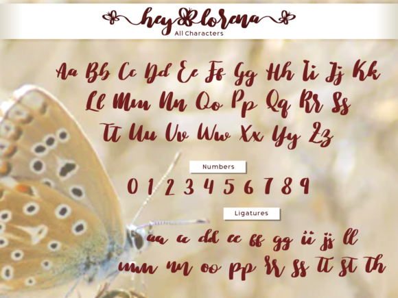 Hey Lorena Font PNG with transparent background - Preview 6
