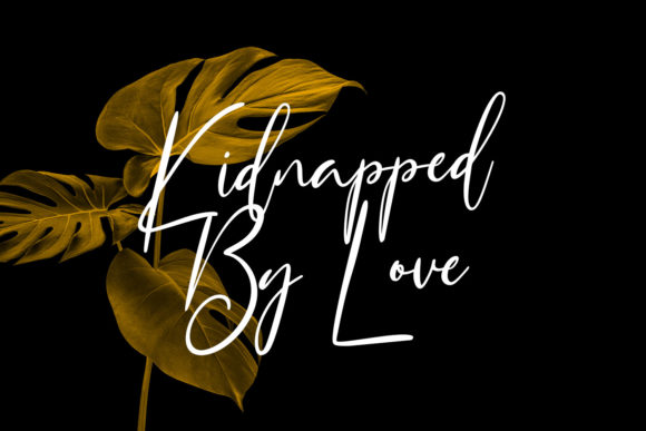 Queensytrix Signature Script Font PNG with transparent background - Preview 3