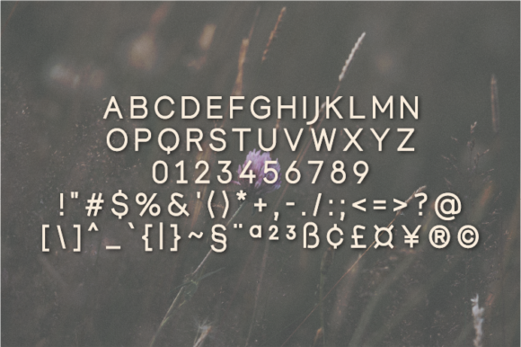 Scarleft Font PNG with transparent background - Preview 1
