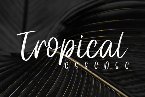Louis Mate Font PNG with transparent background - Preview 3