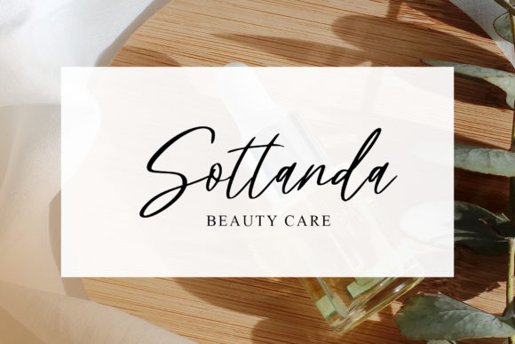 Meritany Font PNG with transparent background - Preview 2