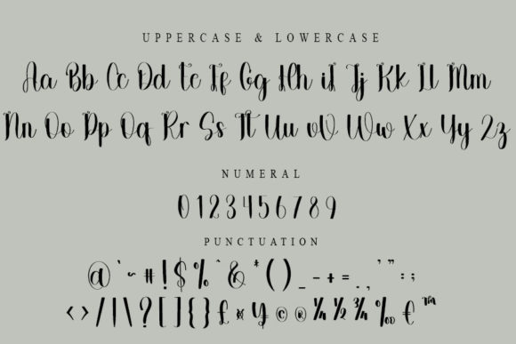 Private Font PNG with transparent background - Preview 3