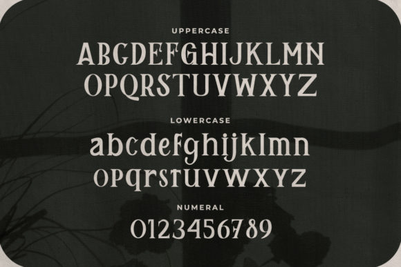 Remily Font PNG with transparent background - Preview 1