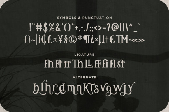 Remily Font PNG with transparent background - Preview 2
