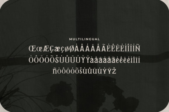 Remily Font PNG with transparent background - Preview 3