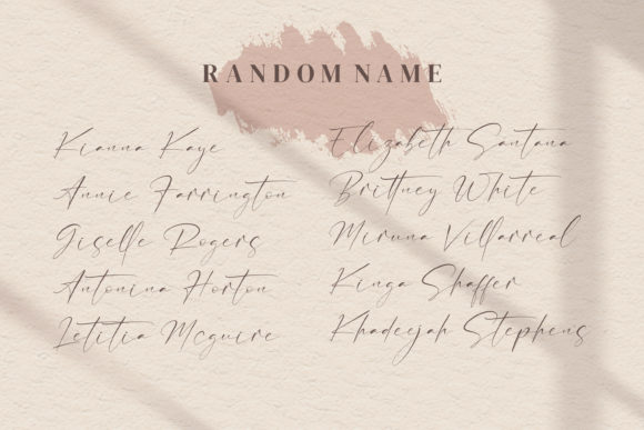 Anthoni Signature Font - Preview 4