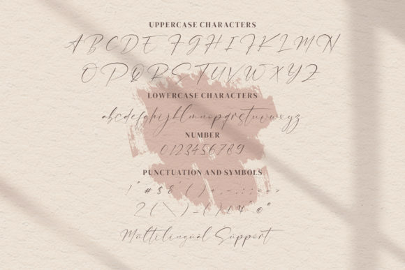 Anthoni Signature Font - Preview 5