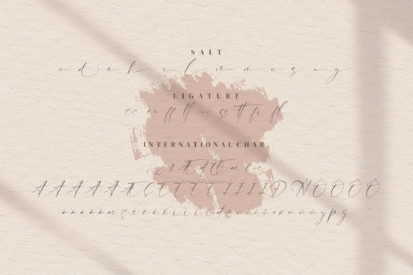 Anthoni Signature Font - Preview 6