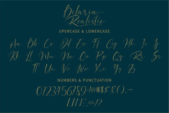 Bilaria Realistic Font - Preview 1