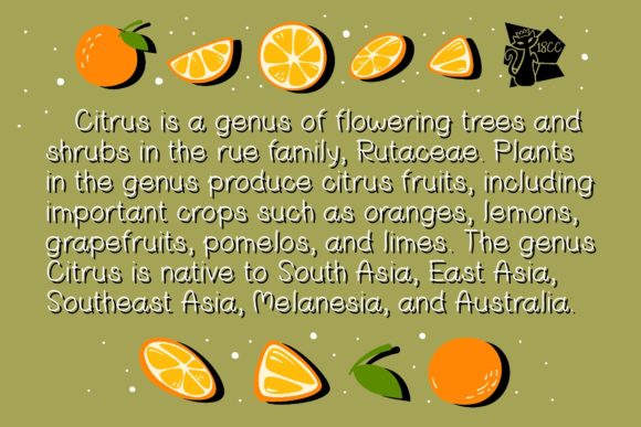 Citrus Font - Preview 2