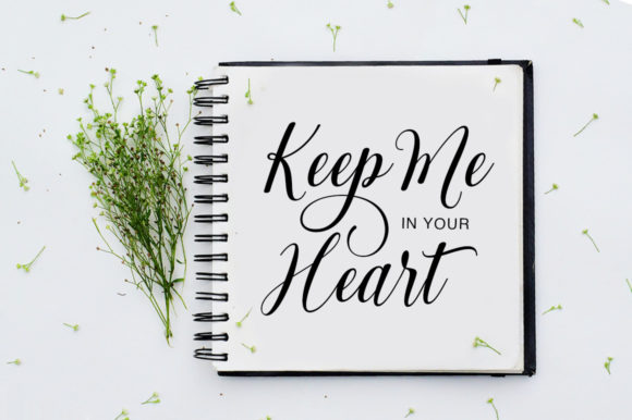 Edegisha Script Font - Preview 6