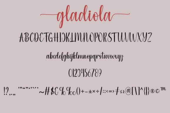 Gladiola Font - Preview 4