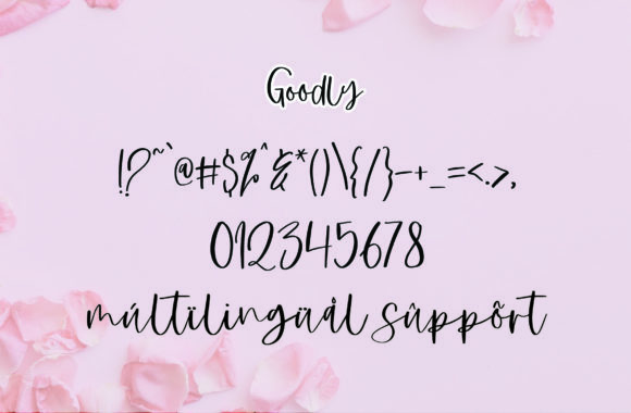 Goodly Font - Preview 5