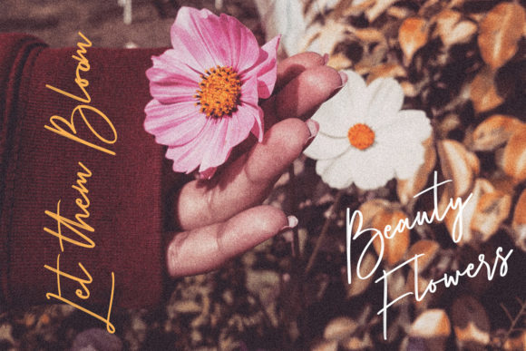Rottens Signature Font PNG with transparent background - Preview 3