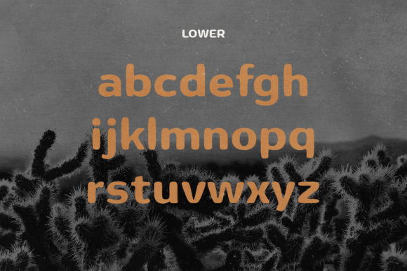 Buckaroo Font - Preview 6
