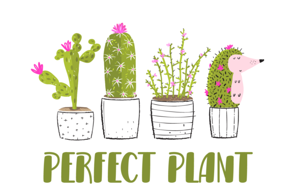 Cactus Morning Font - Preview 1
