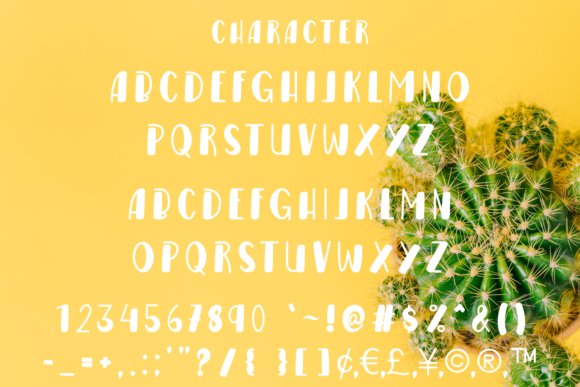 Cactus Morning Font - Preview 4