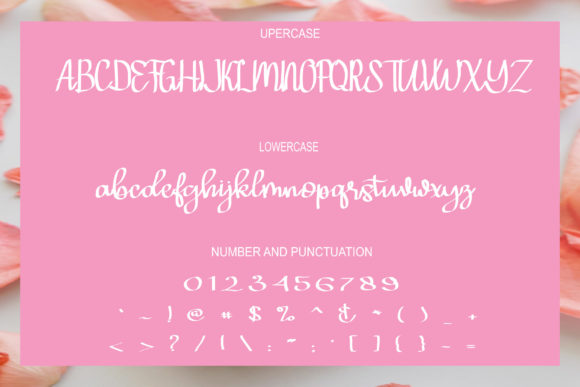 Hello Shofia Font PNG with transparent background - Preview 1