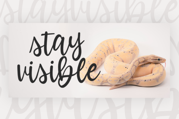Hermit Crab Font PNG with transparent background - Preview 4