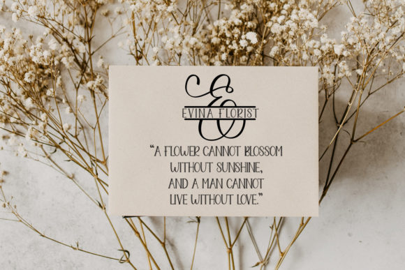 Jenita Monogram Font PNG with transparent background - Preview 3