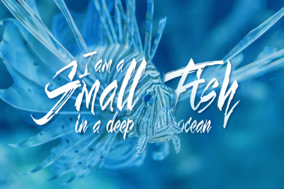 Little Mess Font PNG with transparent background - Preview 2