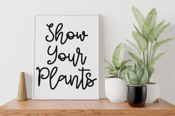Seritta Font PNG with transparent background - Preview 2
