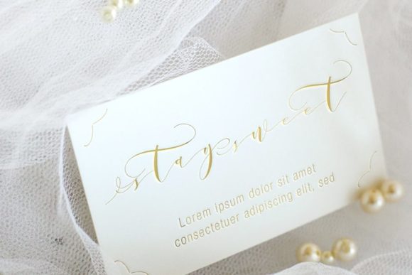 Donita Script Font - Preview 1
