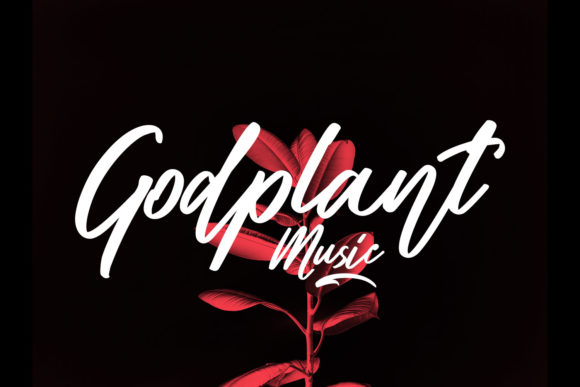Ginloops Font - Preview 4
