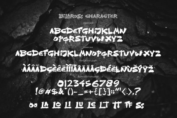 Bilaross Font - Preview 4