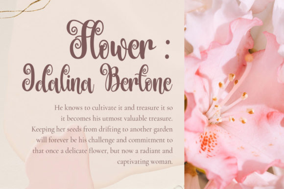 Algorisma Font - Preview 2