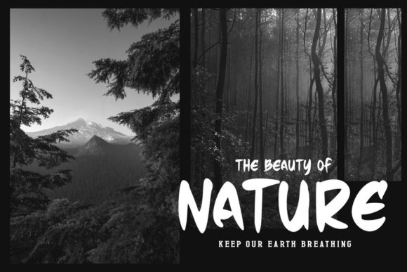 Black Forest Font - Preview 2
