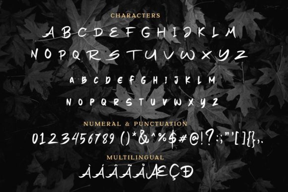 Black Forest Font - Preview 5