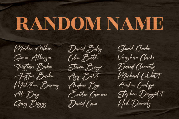 Delmonte Absolute Font - Preview 3