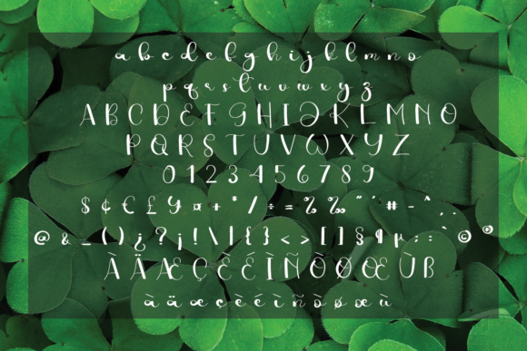 Farmhouse Font - Preview 4