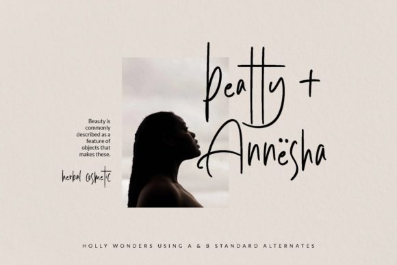 Holly Wonders Font PNG with transparent background - Preview 3