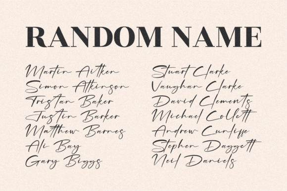 Rosterdam Signature Font PNG with transparent background - Preview 5