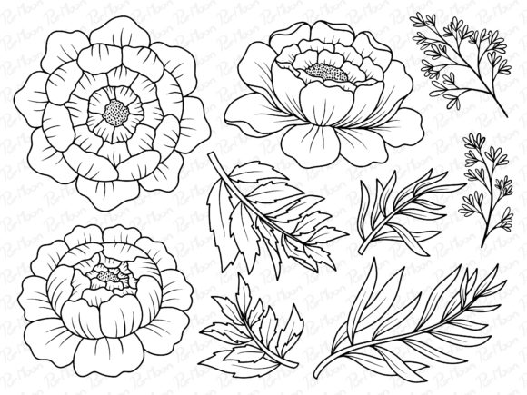 Flowers Line Art Gráfico Ilustraciones Imprimibles Por PurMoon