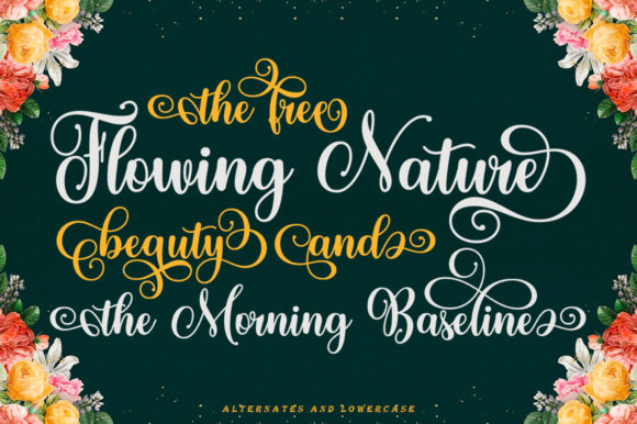 Baligline Beauty Font - Preview 6