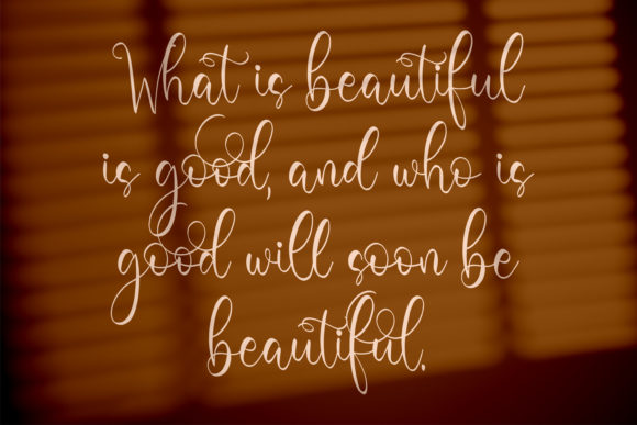 Barbara Derina Font - Preview 6