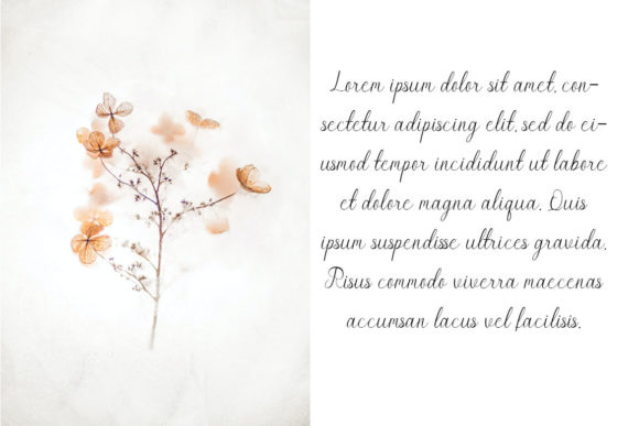 Bigdream Font - Preview 3