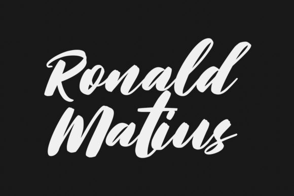Black Birdy Font - Preview 6