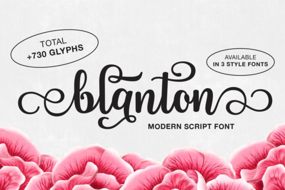 Blanton Script Font - Preview 1