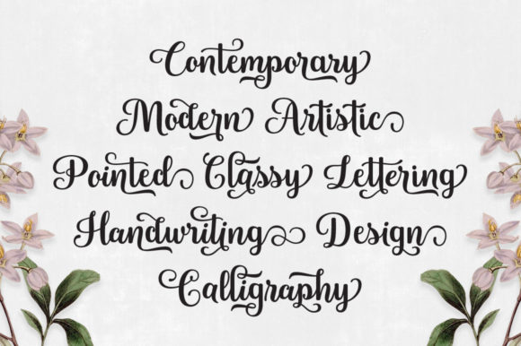 Blanton Script Font - Preview 4