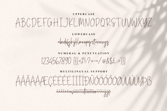 Confidente Signature Font - Preview 6