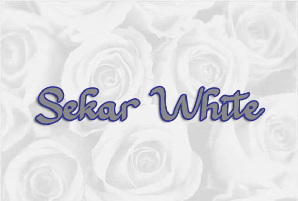 EXample Font - Preview 3