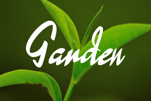 Green Tea Font - Preview 2